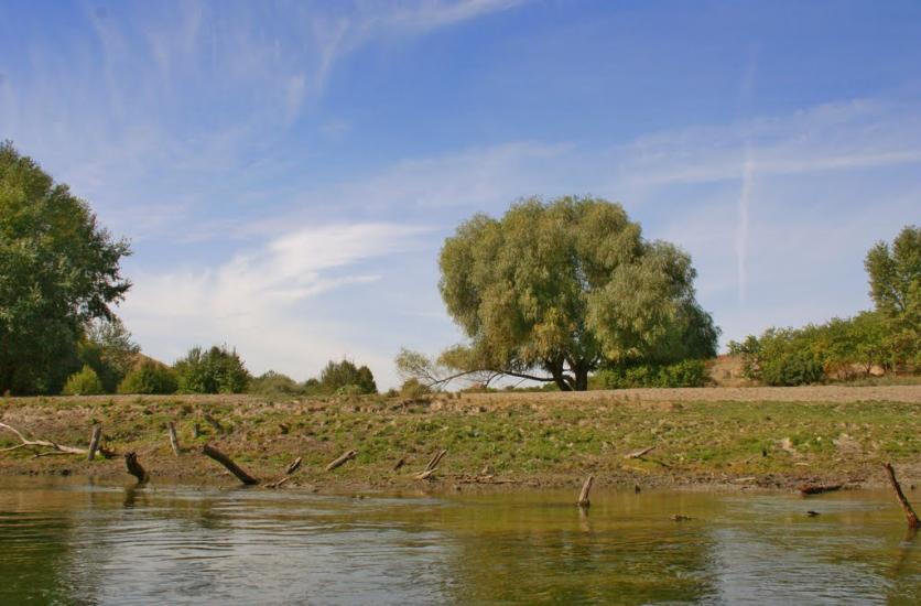 Заможнє з panoramio.com - Zamozhnye