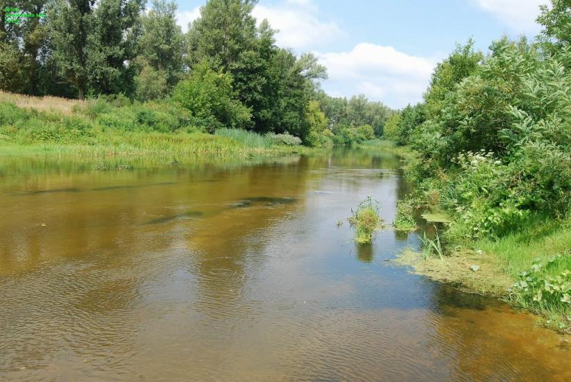 Кардашівка з panoramio.com - Кардашовка