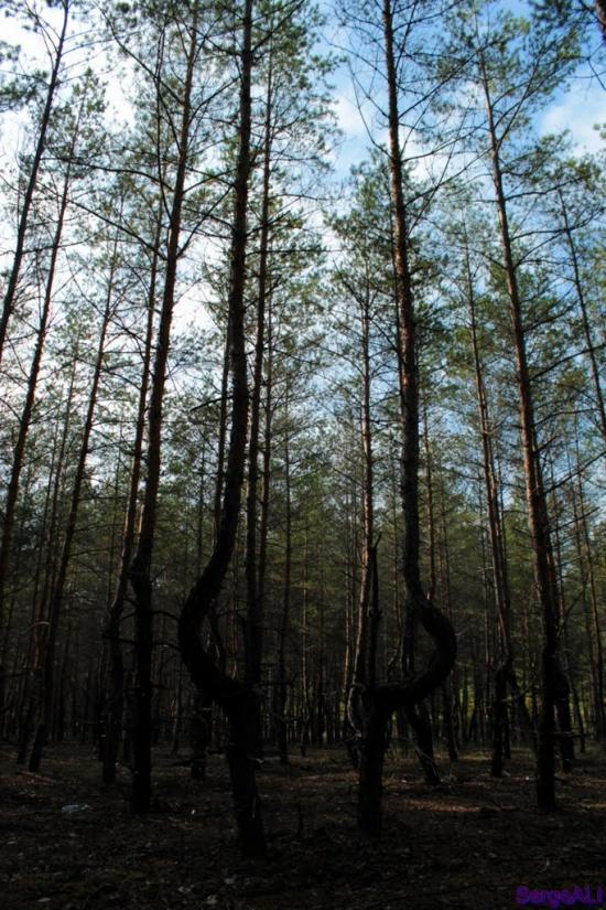 Валуйське з panoramio.com - Валуйское