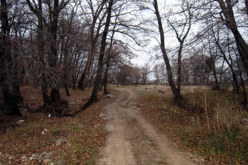 Верхня Вільхова з panoramio.com - Верхня Вільхова