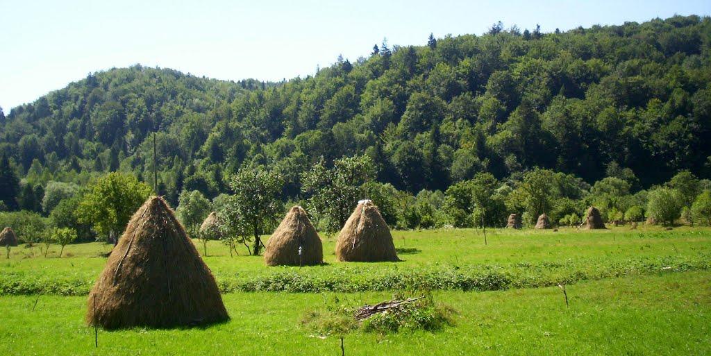 Крушельниця з panoramio.com - Крушельница
