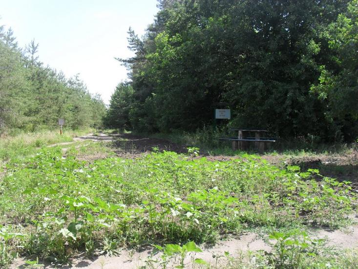 Слов'яносербськ з panoramio.com - Славяносербск