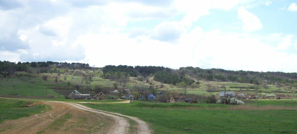 Новоукраїнка з panoramio.com - Новоукраїнка