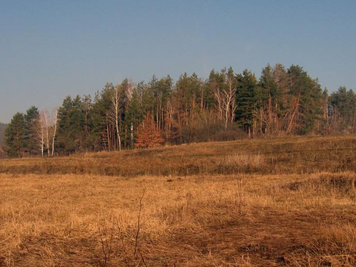 Битиця з panoramio.com - Битица