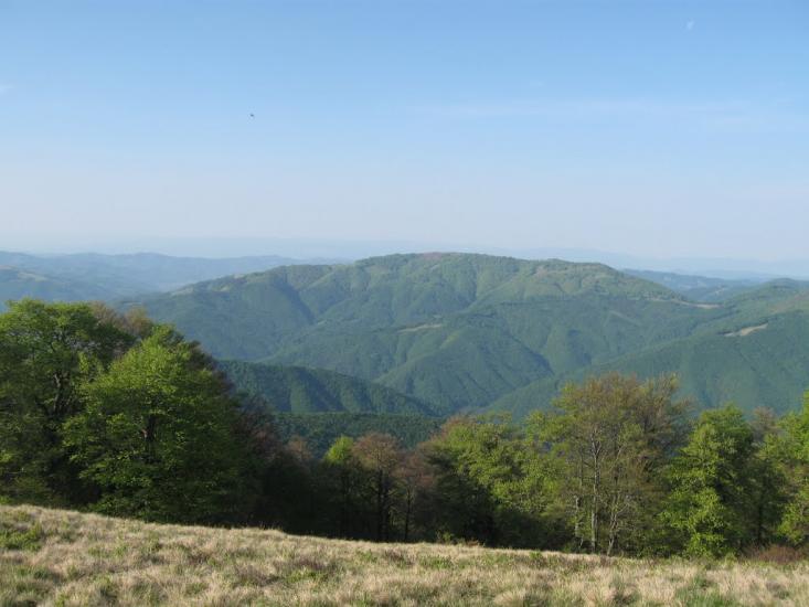 Усть-Чорна з panoramio.com - Усть-Чорна