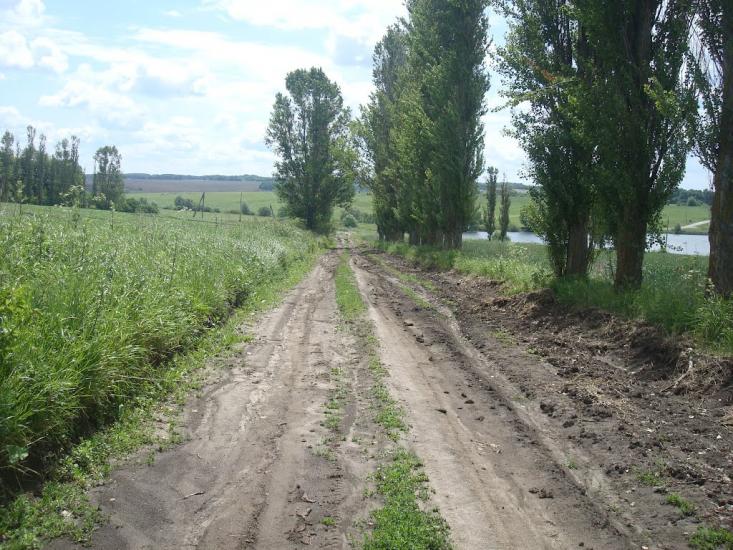 Давидківці з panoramio.com - Давыдковцы