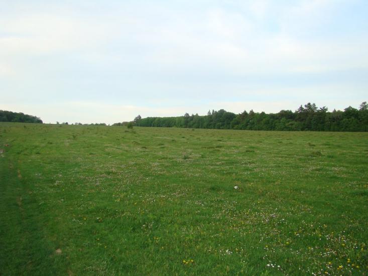 Іванківці з panoramio.com - Иванковцы