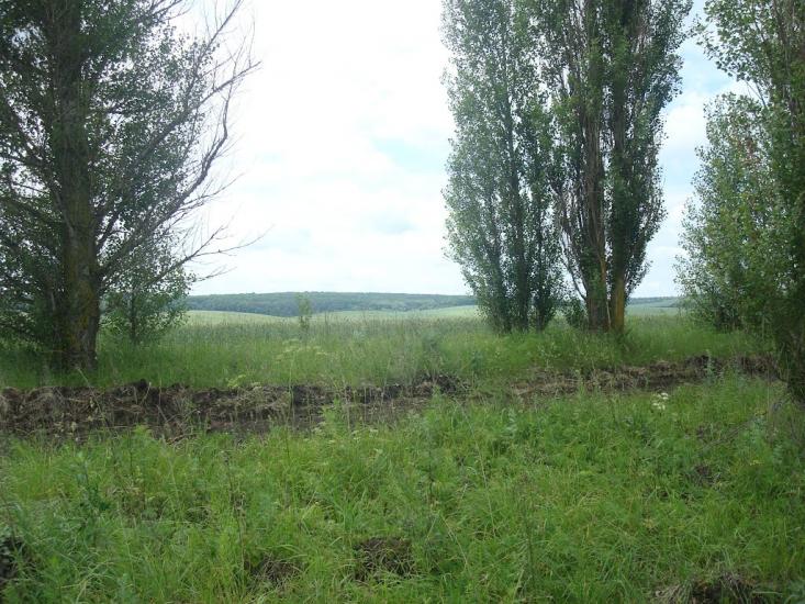 Давидківці з panoramio.com - Давыдковцы