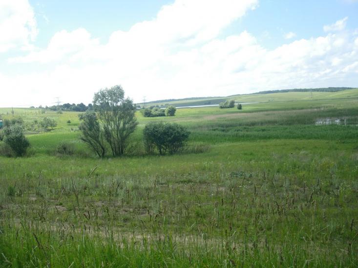 Малашівці з panoramio.com - Малашевцы