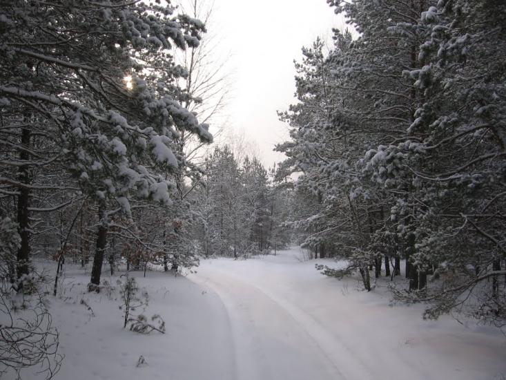 Мигалки з panoramio.com - Мигалки
