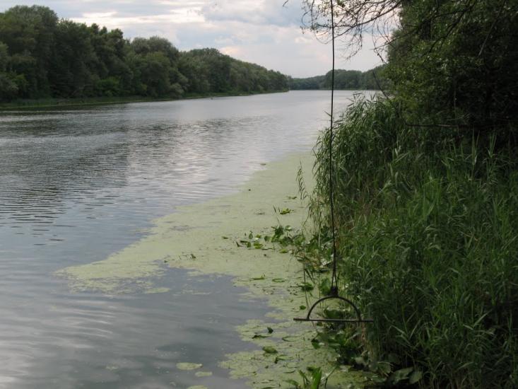 Ярова з panoramio.com - Ярова