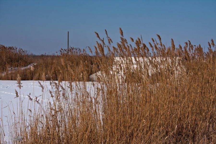 Горянівське з panoramio.com - Горяновское