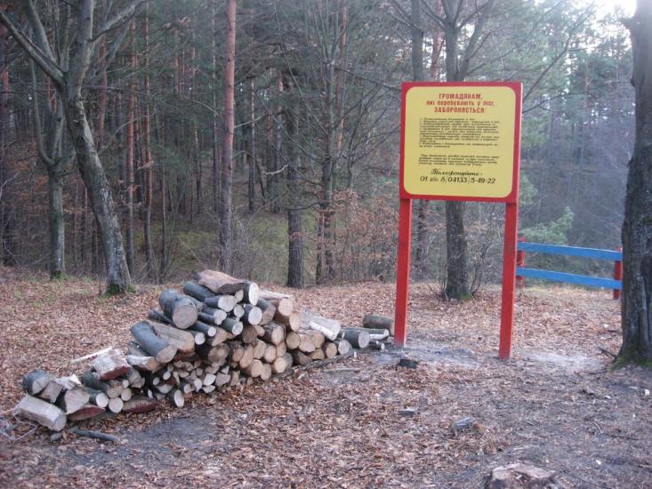 Візня з panoramio.com - Візня