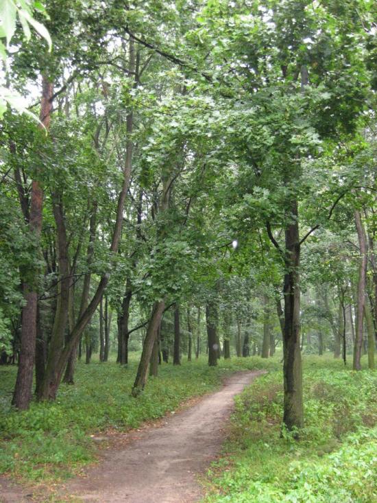 Муроване з panoramio.com - Мурованое