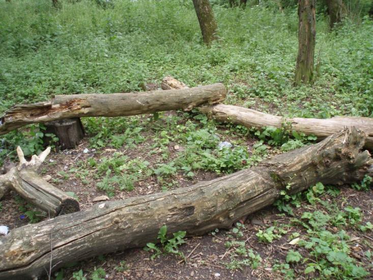 Комісарівка з panoramio.com - Комісарівка