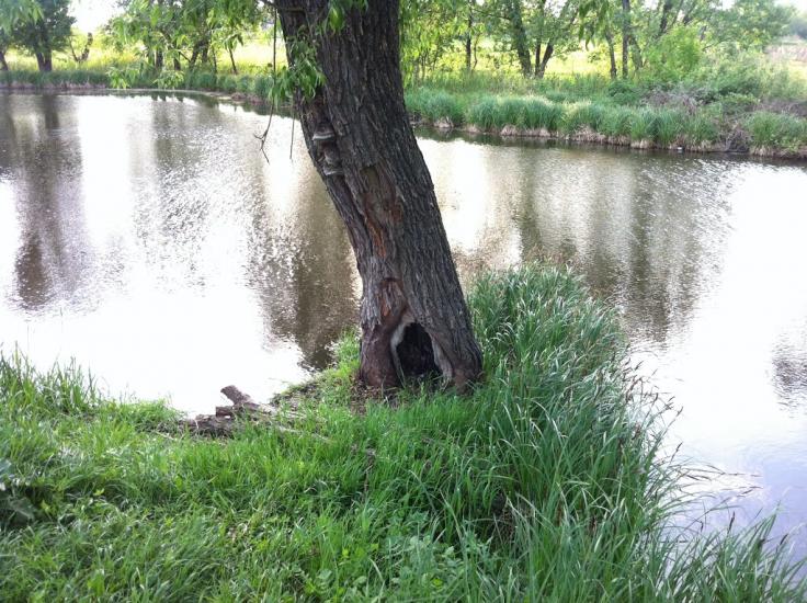 Іванівка з panoramio.com - Іванівка
