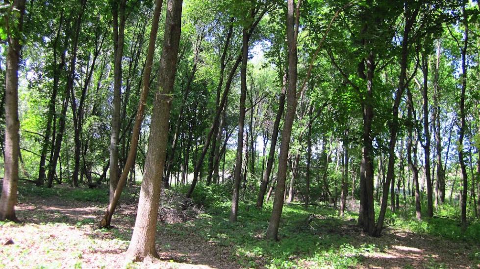 Первомайський з panoramio.com - Первомайський