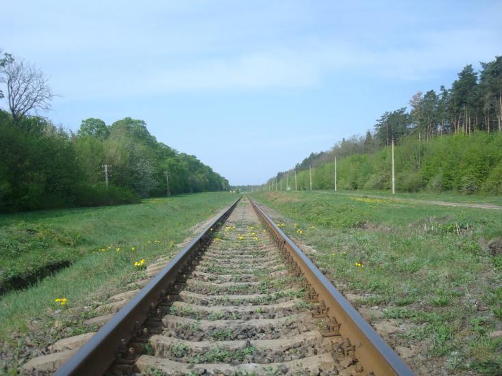 Вербівці з panoramio.com - Вербовцы