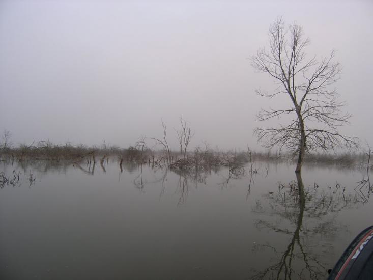 Старосілля з panoramio.com - Starosillya