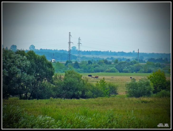 Олександрія з panoramio.com - Александрия