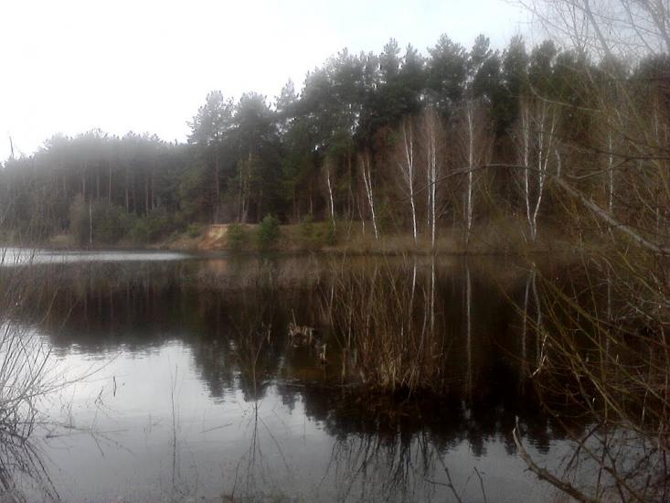 Халявин з panoramio.com - Халявин