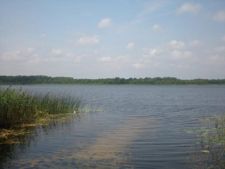 Любохини з panoramio.com - Любохини