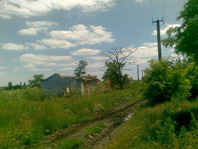 Любопіль з panoramio.com - Любополь
