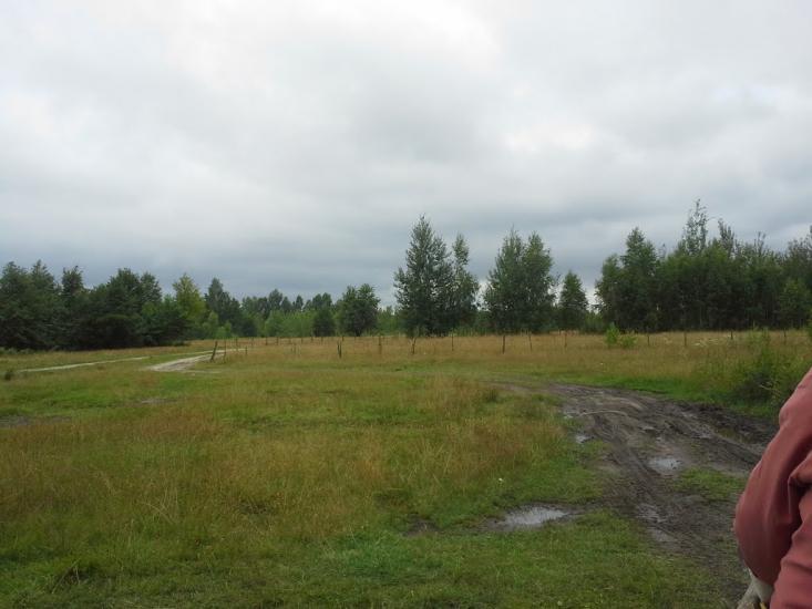 Сошники з panoramio.com - Сошники