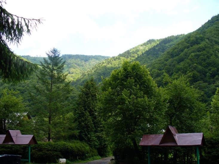 Усть-Чорна з panoramio.com - Усть-Чорна