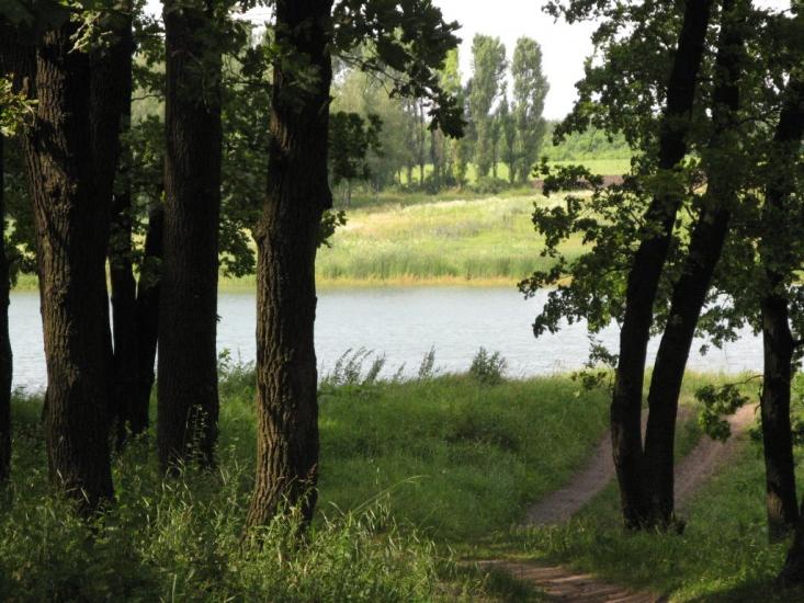 Сокиряни з panoramio.com - Сокиряни