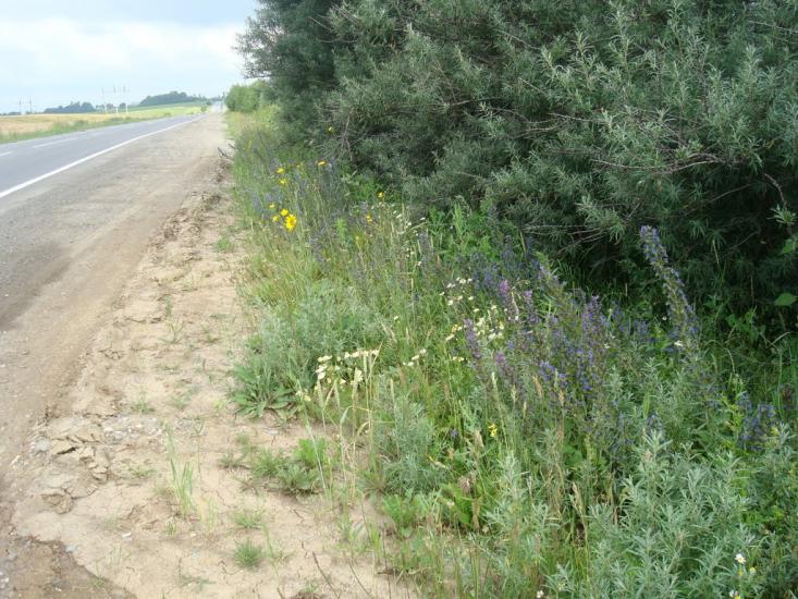 Мацьківці з panoramio.com - Мацьківці