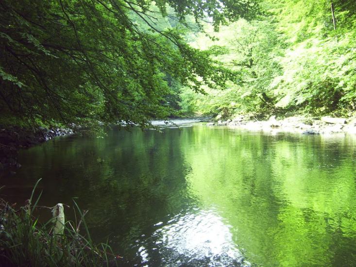 Ганьковиця з panoramio.com - Ганьковица