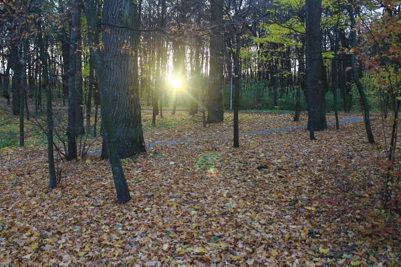Хотів з panoramio.com - Хотов