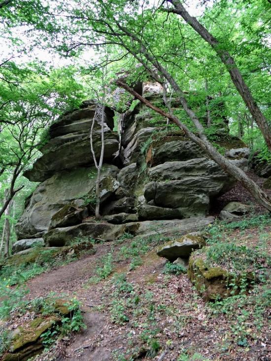 Слобода-Бушанська з panoramio.com - Слобода-Бушанська