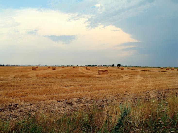 Степанівка Перша з panoramio.com - Степанівка Перша