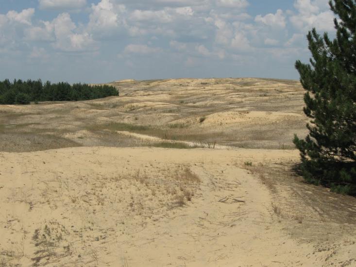 Великі Копані з panoramio.com - Великие Копани