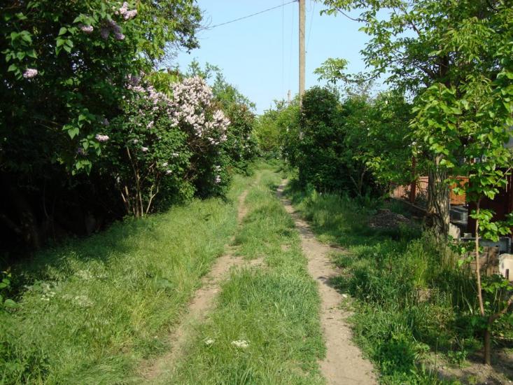 Переможне з panoramio.com - Peremozhne