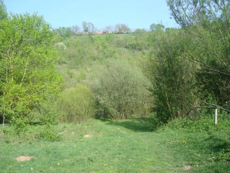 Маціорськ з panoramio.com - Мациорск