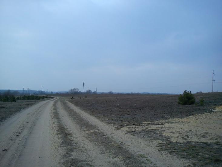 Арламівська Воля з panoramio.com - Арламівська Воля