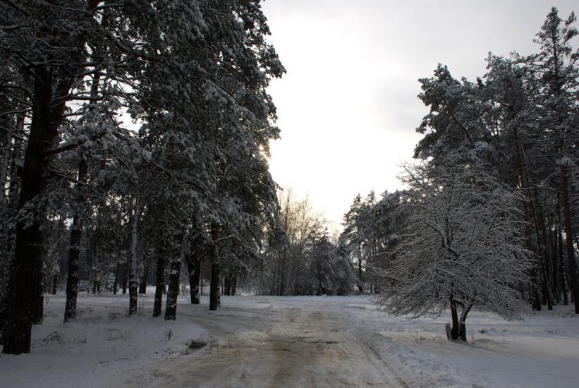Геронимівка з panoramio.com - Geronymivka