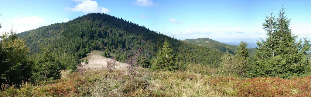 Кам'янка з panoramio.com - Каменка