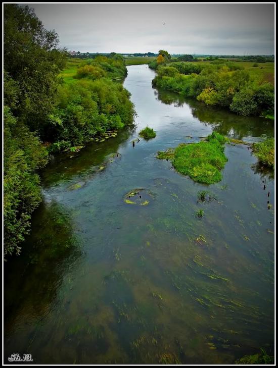 Олександрія з panoramio.com - Александрия