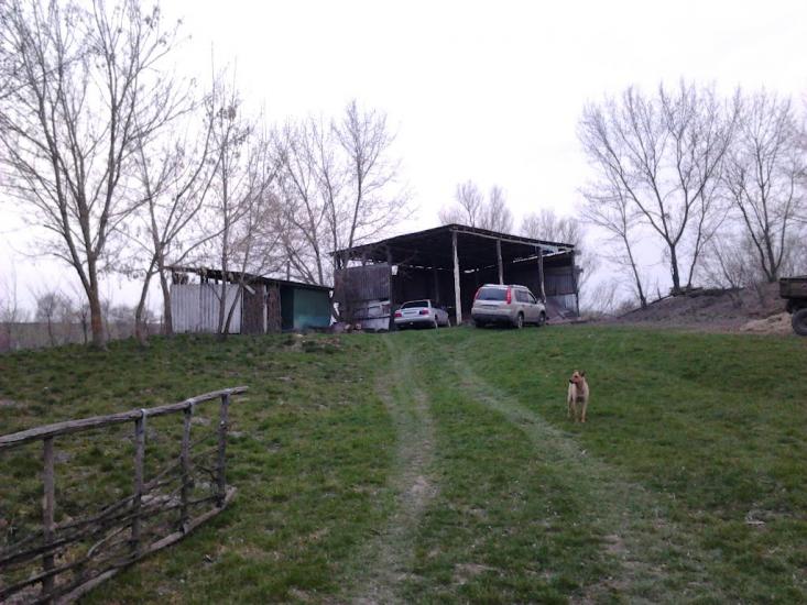 Рогачі з panoramio.com - Рогачи