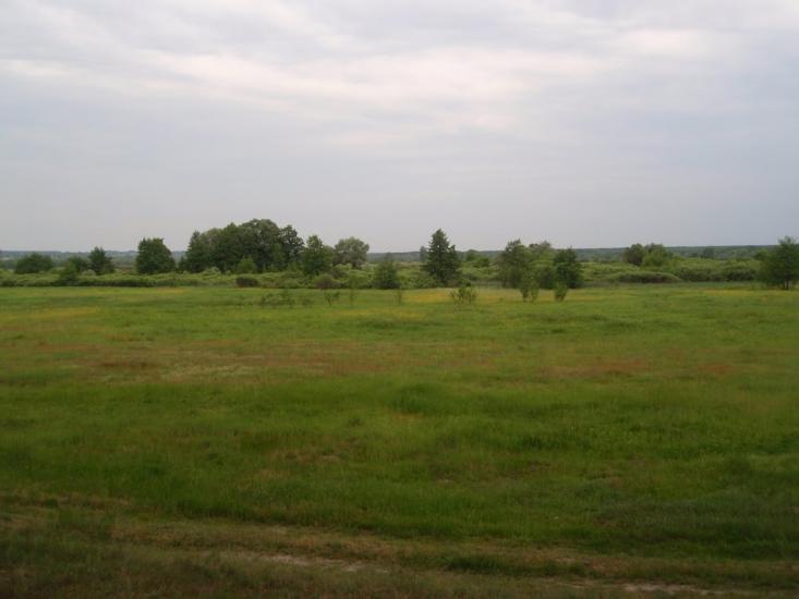 Хорошеве з panoramio.com - Хорошево