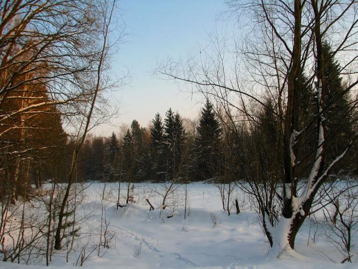 Волиця з panoramio.com - Волица