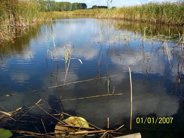 Пулемець з panoramio.com - Pulemets