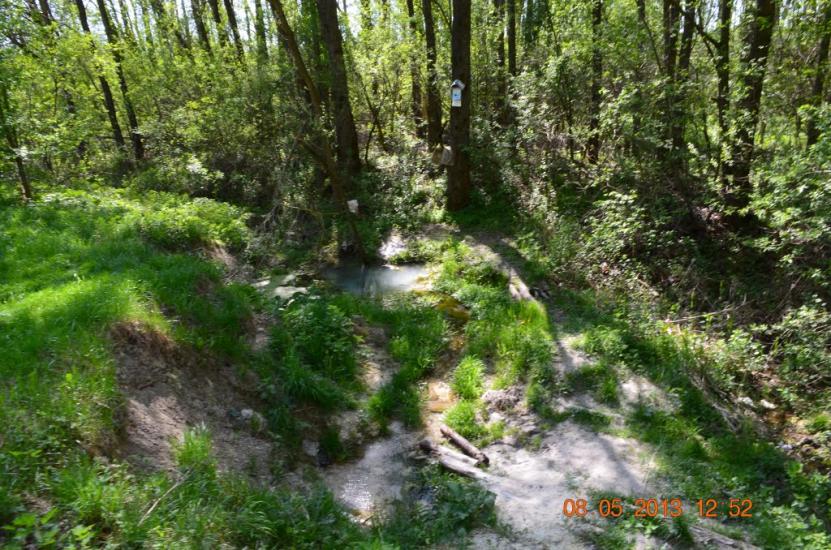 Нова Слобода з panoramio.com - Новая Слобода