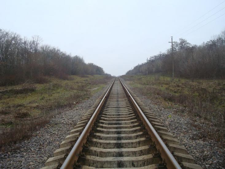 Воронківці з panoramio.com - Воронковцы