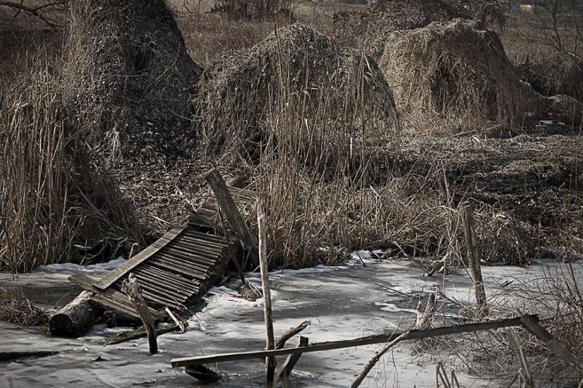 Мала Стариця з panoramio.com - Мала Стариця