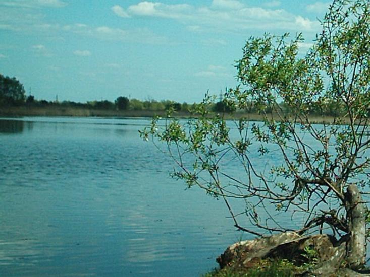 Кулиничі з panoramio.com - Кулиничі
